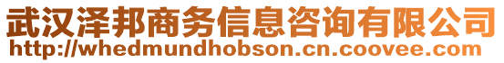 武漢澤邦商務信息咨詢有限公司