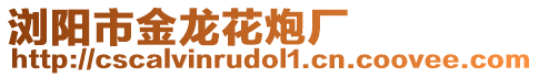 瀏陽市金龍花炮廠