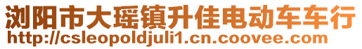 瀏陽市大瑤鎮(zhèn)升佳電動(dòng)車車行