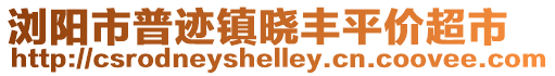 瀏陽市普跡鎮曉豐平價超市