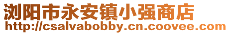 瀏陽市永安鎮(zhèn)小強商店