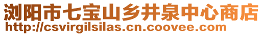 瀏陽市七寶山鄉(xiāng)井泉中心商店