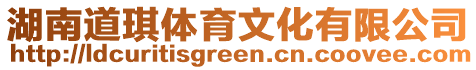 湖南道琪體育文化有限公司