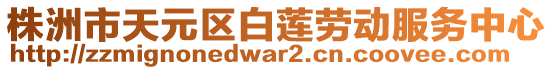 株洲市天元區(qū)白蓮勞動服務(wù)中心