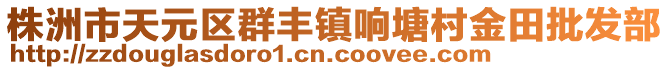 株洲市天元區(qū)群豐鎮(zhèn)響塘村金田批發(fā)部