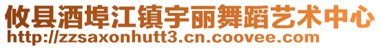 攸县酒埠江镇宇丽舞蹈艺术中心