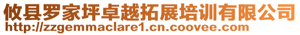 攸县罗家坪卓越拓展培训有限公司