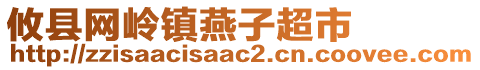 攸县网岭镇燕子超市