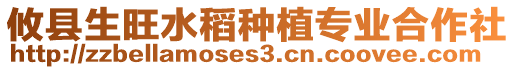 攸縣生旺水稻種植專業(yè)合作社