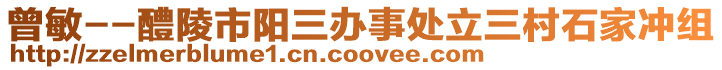 曾敏--醴陵市陽三辦事處立三村石家沖組