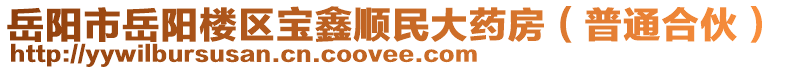 岳陽市岳陽樓區(qū)寶鑫順民大藥房（普通合伙）