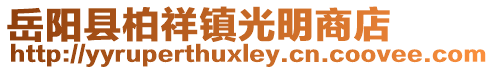 岳阳县柏祥镇光明商店