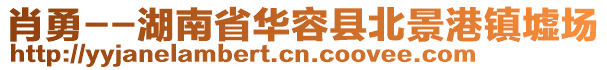 肖勇--湖南省华容县北景港镇墟场