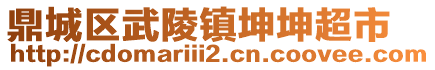 鼎城區(qū)武陵鎮(zhèn)坤坤超市