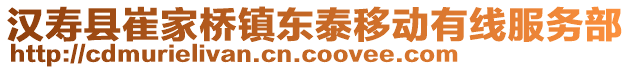 汉寿县崔家桥镇东泰移动有线服务部