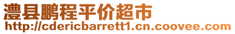 澧縣鵬程平價超市