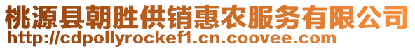 桃源县朝胜供销惠农服务有限公司