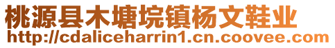 桃源縣木塘垸鎮(zhèn)楊文鞋業(yè)