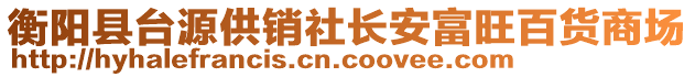 衡陽縣臺源供銷社長安富旺百貨商場