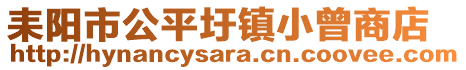 耒阳市公平圩镇小曾商店