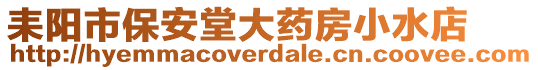 耒阳市保安堂大药房小水店