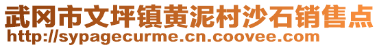 武岡市文坪鎮(zhèn)黃泥村沙石銷售點(diǎn)