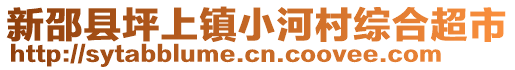 新邵縣坪上鎮(zhèn)小河村綜合超市