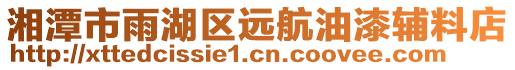 湘潭市雨湖區遠航油漆輔料店