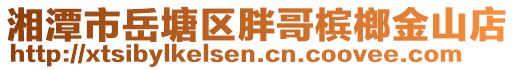 湘潭市岳塘區(qū)胖哥檳榔金山店