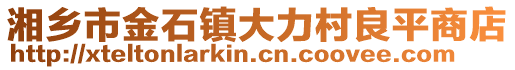 湘鄉(xiāng)市金石鎮(zhèn)大力村良平商店