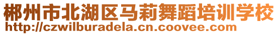 郴州市北湖區(qū)馬莉舞蹈培訓學校