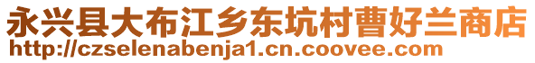 永興縣大布江鄉(xiāng)東坑村曹好蘭商店