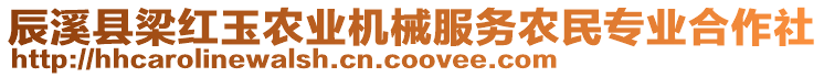 辰溪縣梁紅玉農(nóng)業(yè)機械服務農(nóng)民專業(yè)合作社