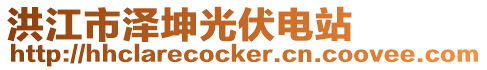 洪江市澤坤光伏電站