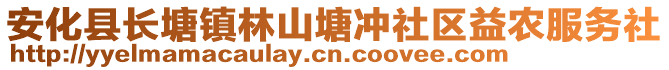 安化縣長塘鎮林山塘沖社區益農服務社