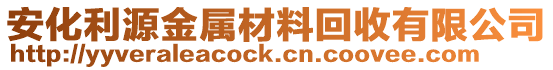 安化利源金属材料回收有限公司