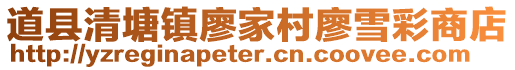 道县清塘镇廖家村廖雪彩商店