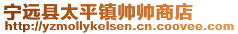 宁远县太平镇帅帅商店