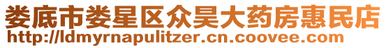 婁底市婁星區(qū)眾昊大藥房惠民店