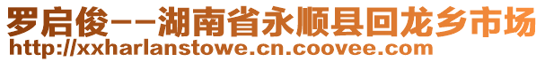 羅啟俊--湖南省永順縣回龍鄉(xiāng)市場