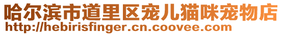 哈爾濱市道里區(qū)寵兒貓咪寵物店