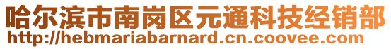 哈爾濱市南崗區(qū)元通科技經(jīng)銷部
