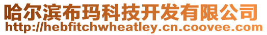 哈爾濱布瑪科技開發有限公司