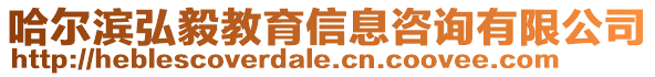 哈爾濱弘毅教育信息咨詢有限公司