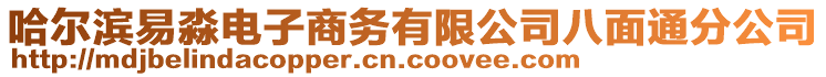 哈爾濱易淼電子商務(wù)有限公司八面通分公司