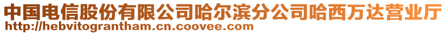 中國(guó)電信股份有限公司哈爾濱分公司哈西萬(wàn)達(dá)營(yíng)業(yè)廳