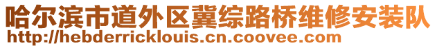 哈爾濱市道外區(qū)冀綜路橋維修安裝隊(duì)