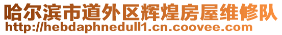 哈爾濱市道外區(qū)輝煌房屋維修隊