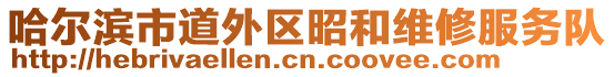 哈爾濱市道外區(qū)昭和維修服務(wù)隊(duì)