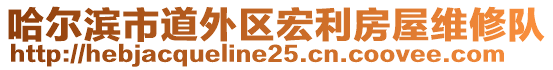 哈爾濱市道外區(qū)宏利房屋維修隊